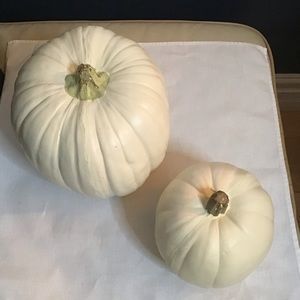Two lightweight Pumpkins